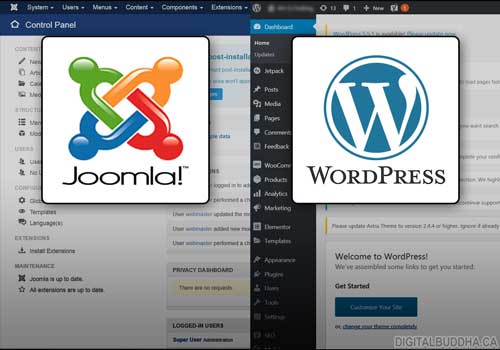 Digital Buddha Inc. - Content Management System - CMS Calgary